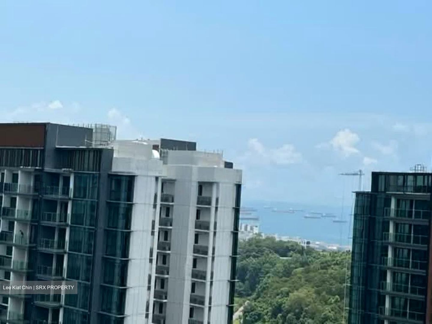 Normanton Park (D5), Apartment #563332501